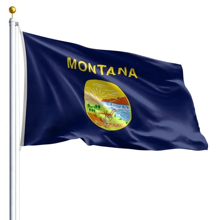 8′ x 12′ Montana Flag